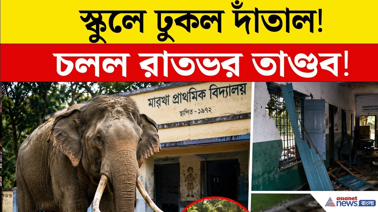 জঙ্গল ছেড়ে স্কুলে গজরাজের তাণ্ডব! আতঙ্কে ছাত্র-শিক্ষক, ভাঙচুর মিড ডে মিলের ঘরে | Bankura News