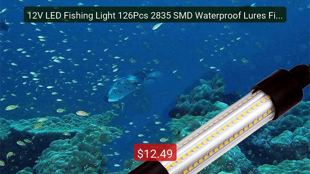 12V LED Fishing Light 126Pcs 2835 SMD Waterproof Lures Fish Fi... -- Best Buy 2026 | Great Quality!