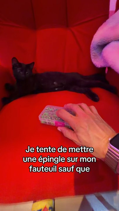 J’ai mit une épingle verte je crois ?