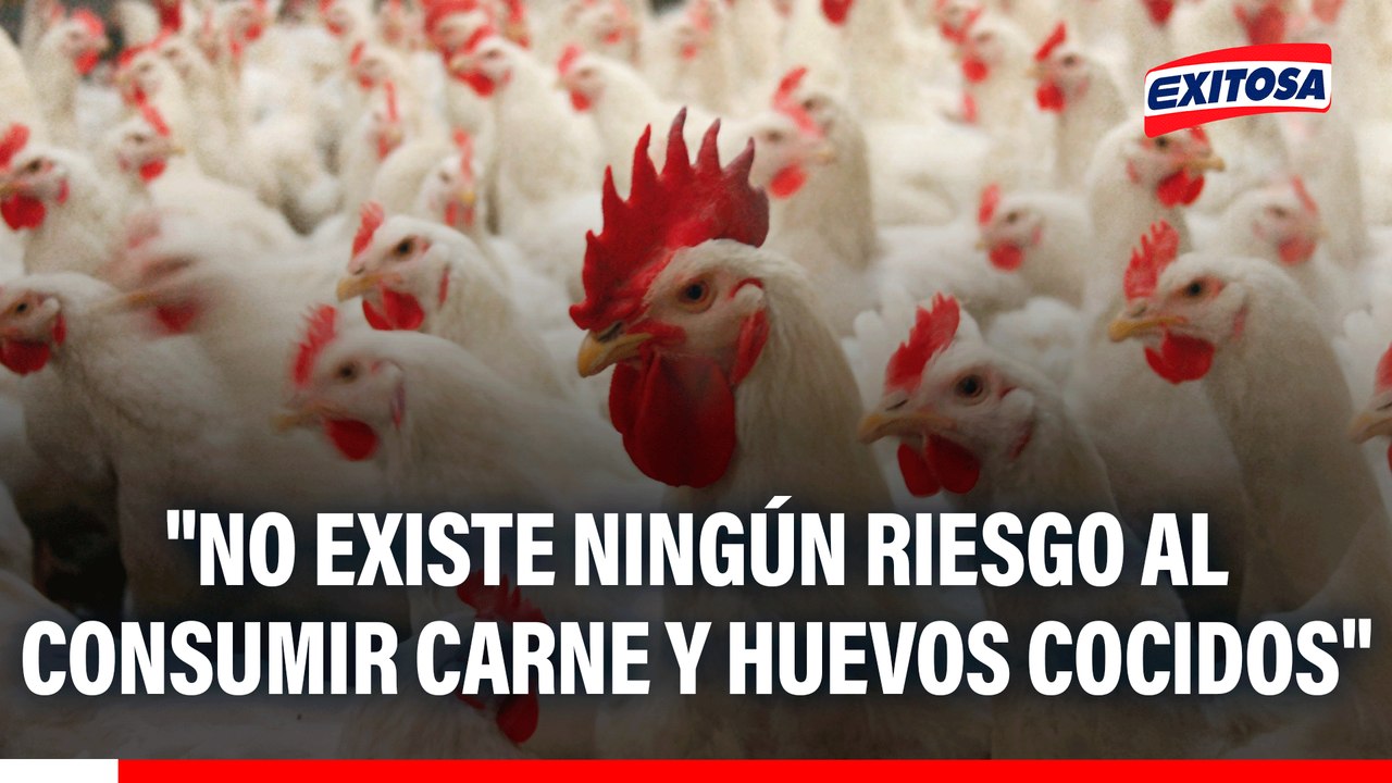 Senasa descarta peligros tras declarar emergencia sanitaria por influenza aviar