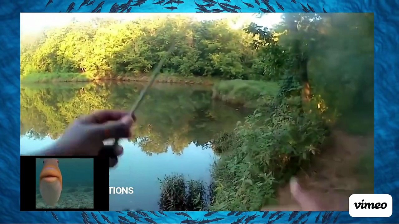 Feesh reacts to fish fails
