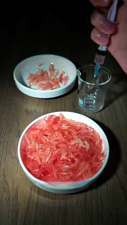 The Most Precise Pomelo Fried Rice | Oddly Satisfying ASMR Cooking