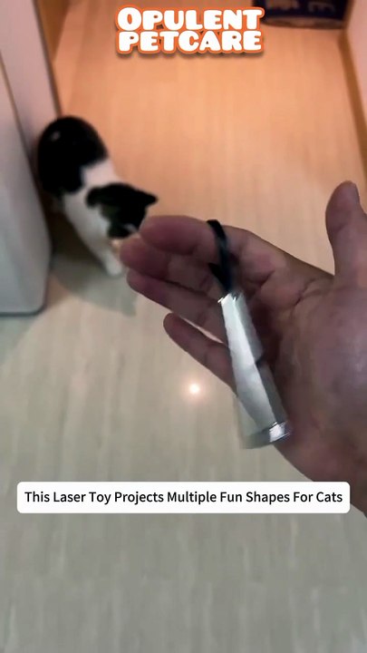 USB Rechargeable Laser Pointer & UV Light Cat Toy - 5 Patterns, Red Laser + UV Purple Light | 55% Off