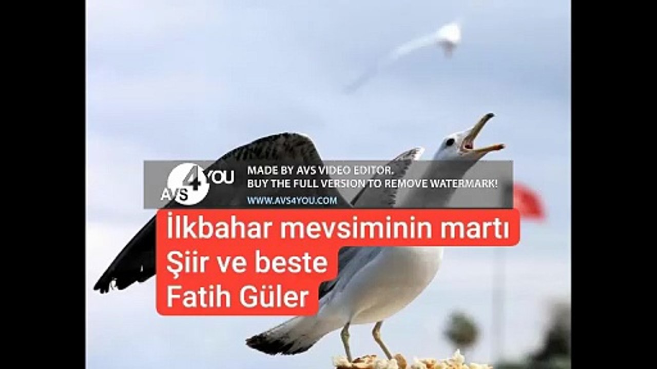 İLKBAHAR MEVSİMİNİN MARTI