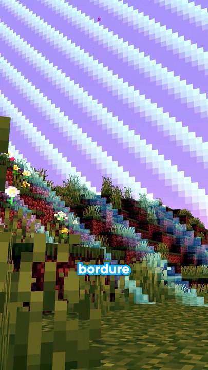 Bordure 20 min