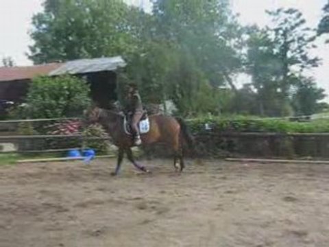 Nyamoko licol, départ au galop