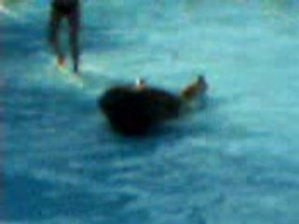 Claire à Aqualand
