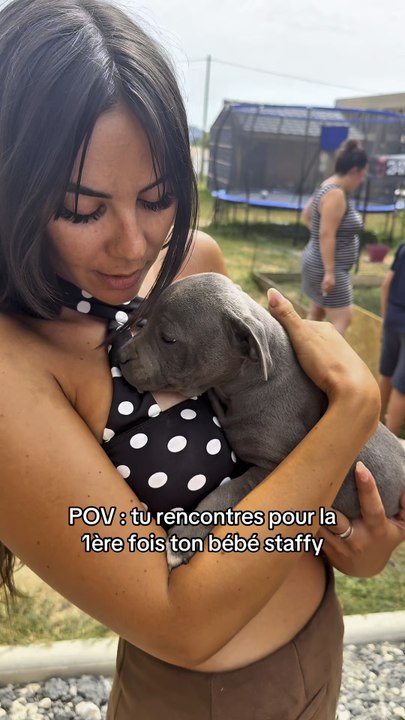 Adoption de Bobby