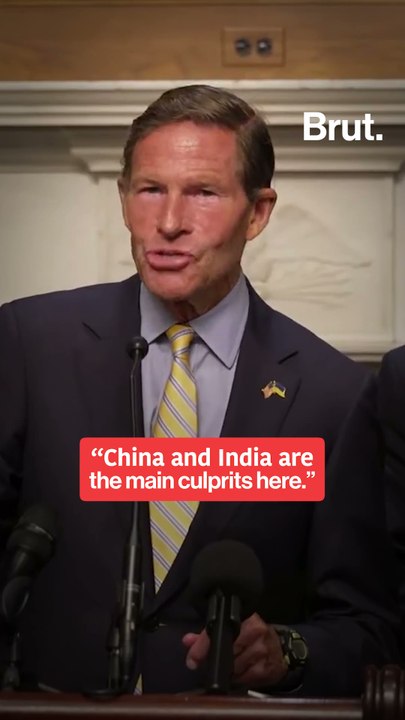 China and India are the main culprits: US Senator