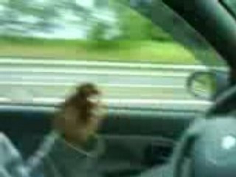 délire en voiture