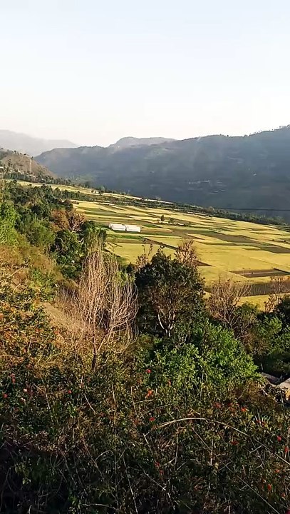 Kwanu field #dailymotionvideo #viralvideo #videooftheday