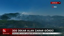 Antalya'da orman yangınında şu ana kadar 305 dekar alan etkilendi