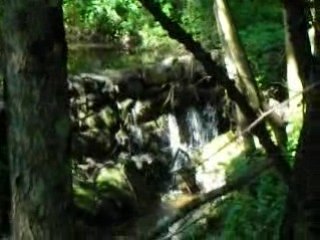 Petite cascade dans la foret vol.2