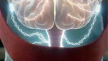Como seu CÉREBRO se RECONFIGURA ao aprender um novo IDIOMA? 🧠