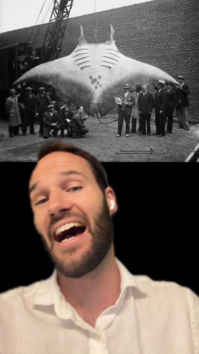 La PLUS grande RAIE du MONDE !!