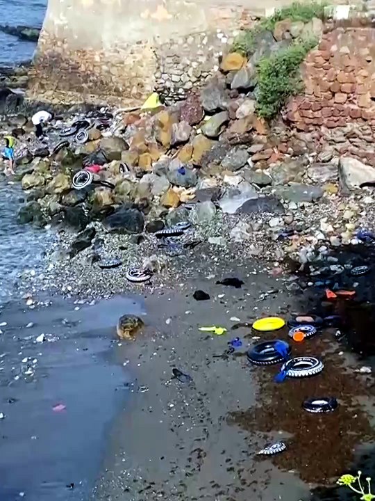 Decenas de flotadores en la costa de Ceuta tras la llegada de cientos de migrantes