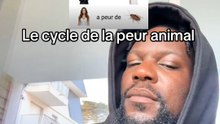 Ah oui tous s’explique 😅 | abonne toi