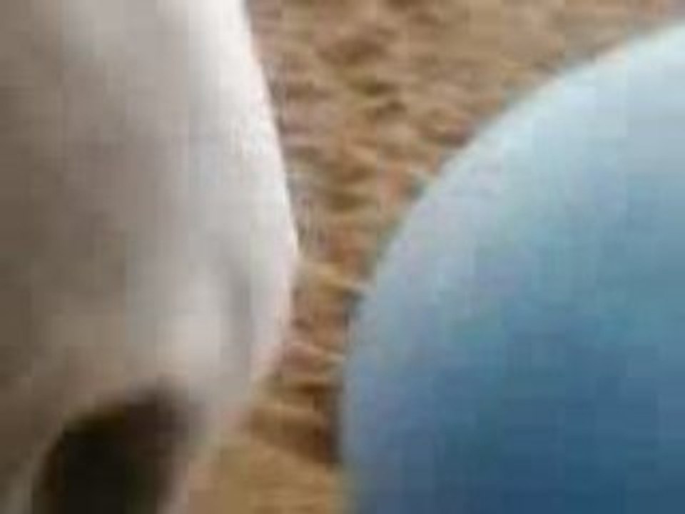 Ballon jeu