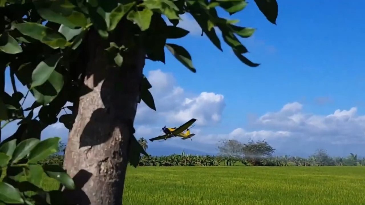 La tierra explota - Tráiler oficial