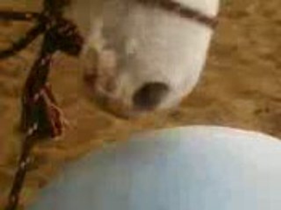 Jeu ballon
