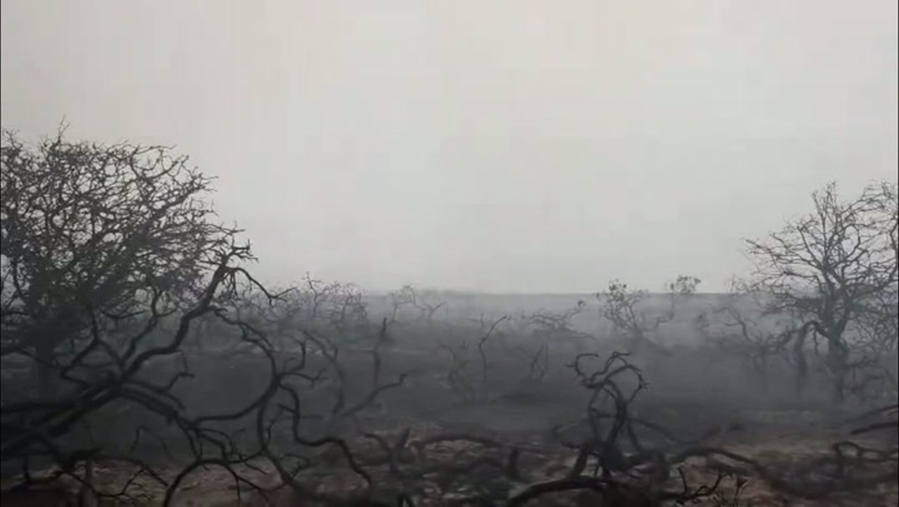 Suffolk wildfire: Smouldering aftermath captured on camera as blaze continues to spread