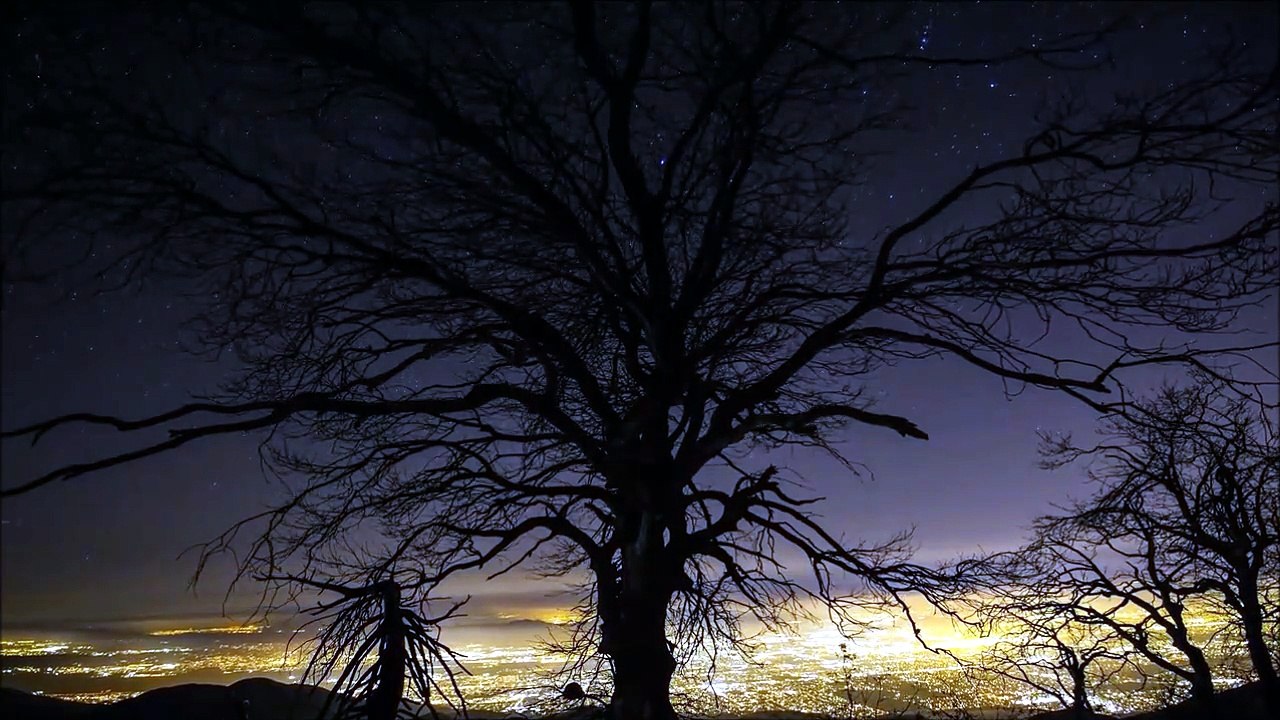 Delegation - In the Night