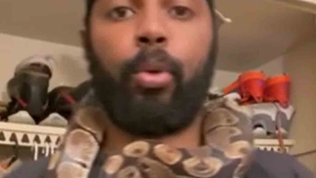SHOCKING Python Feeding Mishap Sparks Neck Tattoo Inspiration