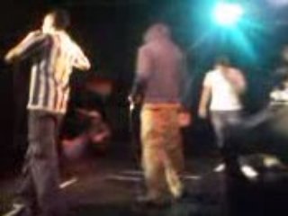 luth zoo tamanoir locom's beaum jean jaque