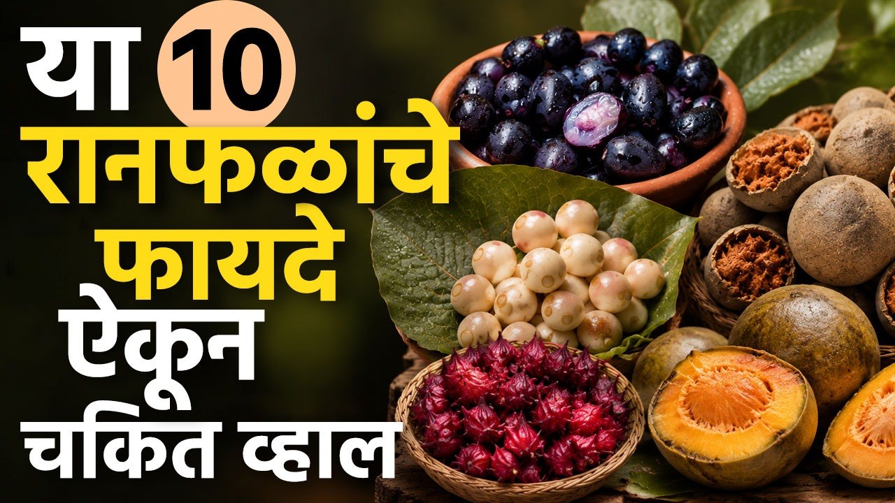 ही १० रानफळं आरोग्यासाठी आहेत वरदान! | १० Wild Fruits You Must Know | Lokmat Sakhi