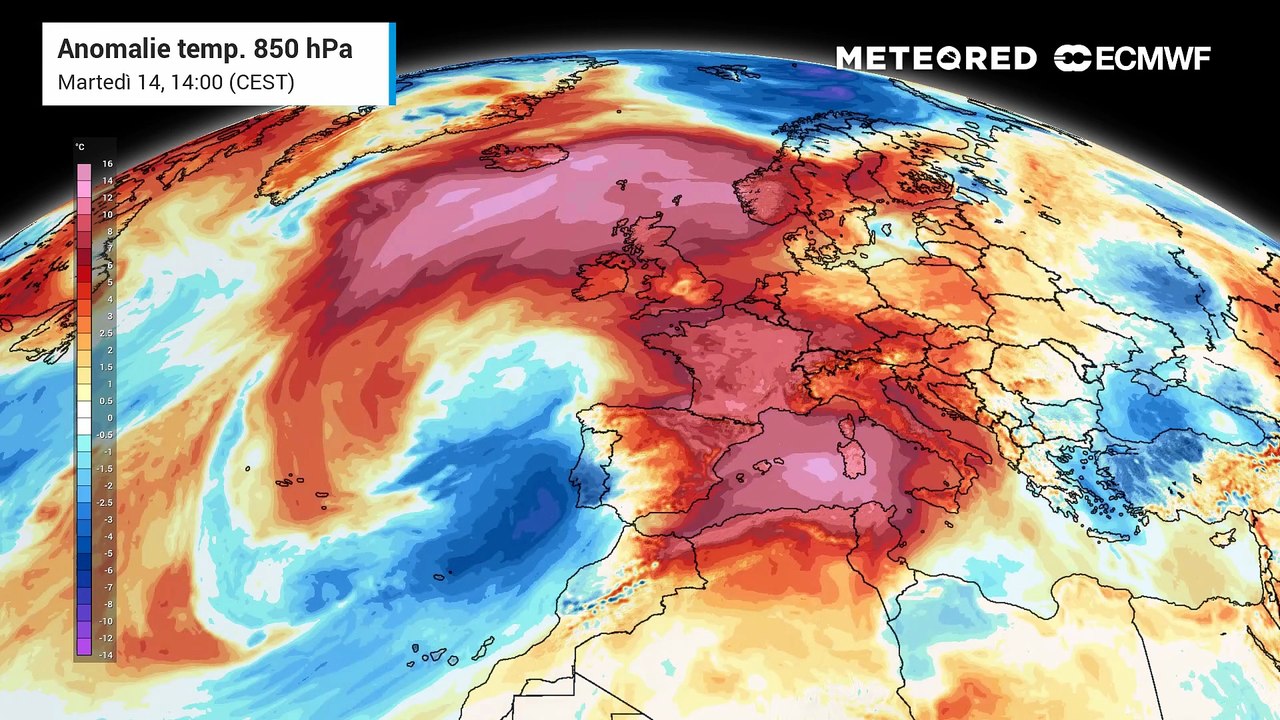 Caldo estremo nel Mediterraneo