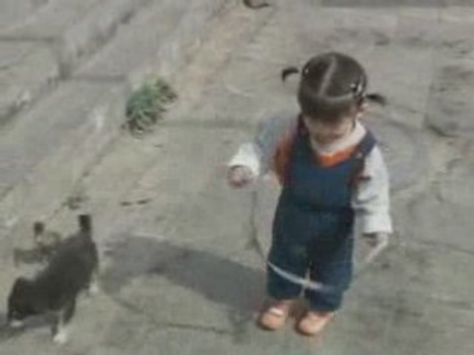 Comme chien et... canard