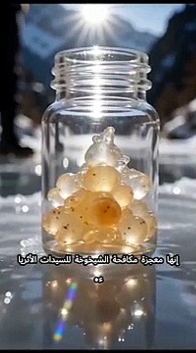 مدبلج نظام الكنوز السحري،