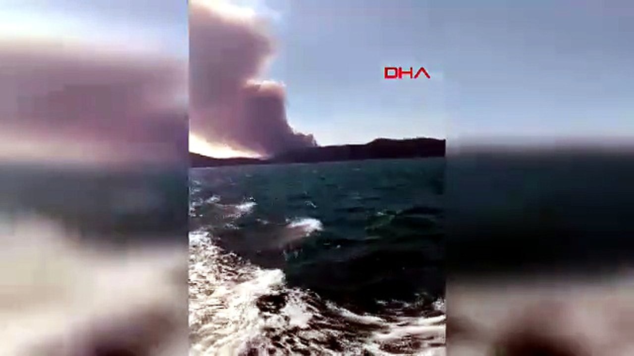 Muğla'da iki ayrı noktada orman yangını