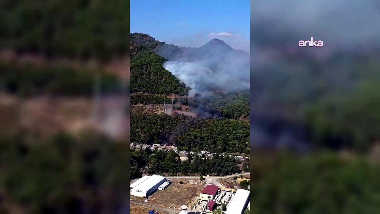 Muğla’da 3 ayrı noktada yangın: Müdahale sürüyor