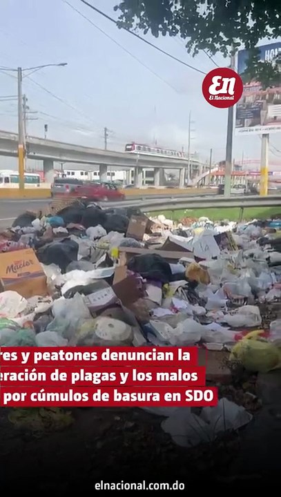 Choferes y peatones denuncian la proliferación de plagas y los malos olores por cúmulos de basura