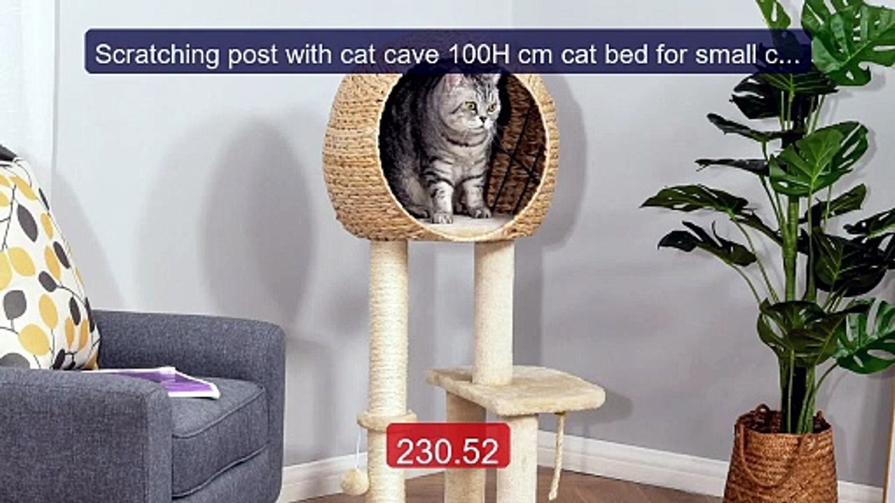 Scratching post with cat cave 100H cm cat bed for small cats w... -- Hot Deal 2026 | Limited Offer!