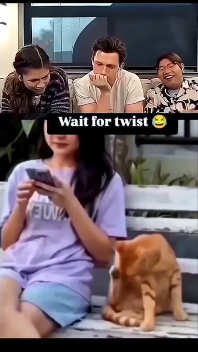 Funny Cat