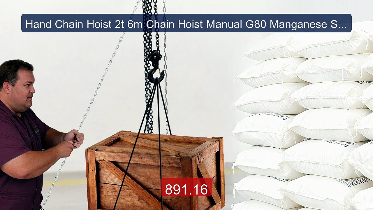 Hand Chain Hoist 2t 6m Chain Hoist Manual G80 Manganese Steel ... -- Best Buy 2026 | Great Quality!