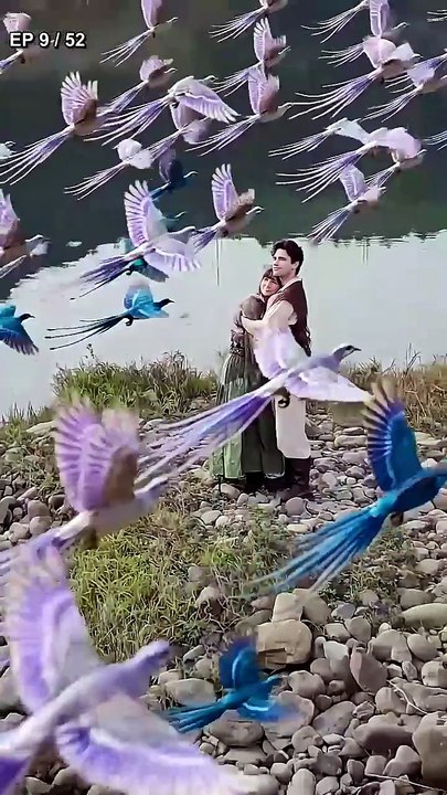 Taste of the Wild - FULL MOVIES ENGLISH SUB
