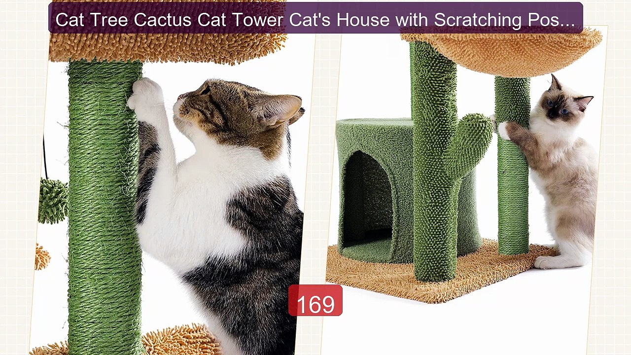 Cat Tree Cactus Cat Tower Cat's House with Scratching Post Cut... -- Best Buy 2026 | Great Quality!