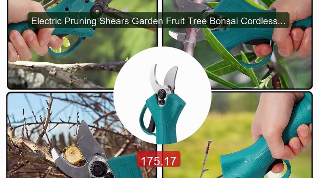 Electric Pruning Shears Garden Fruit Tree Bonsai Cordless Electric ... Top Rated 2026 | Buy Now!
