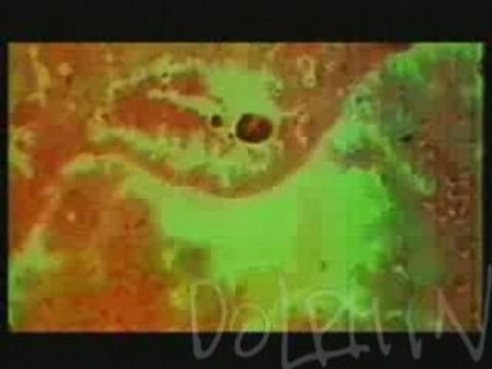 Dolphin - You