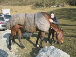 BILAN de ma 1ère année d'EQUITATION