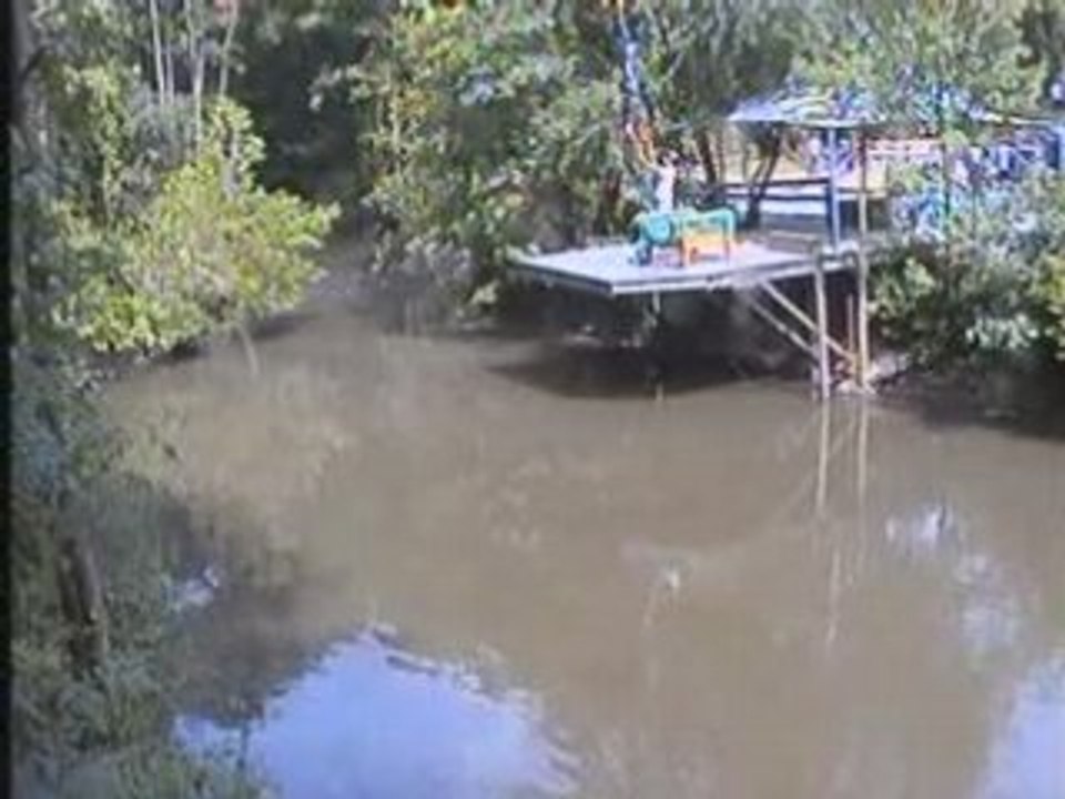 TONY : SAUT ELASTIQUE- PONT DE LA SOULEUVRE (29.06.2008)