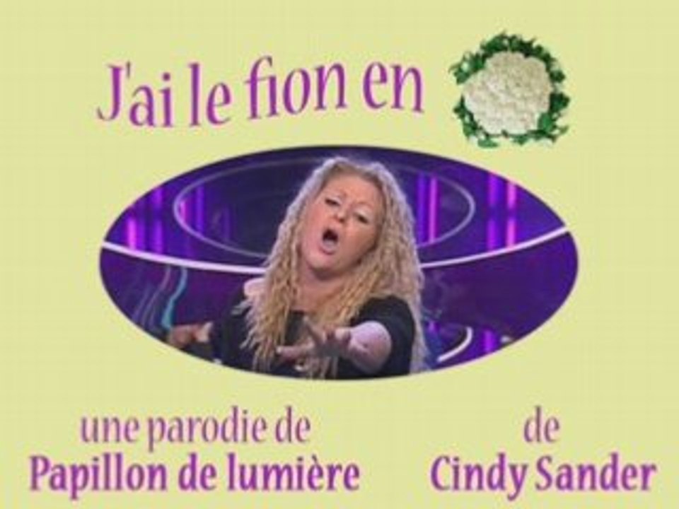 Parodie de Cindy Sander - J'ai le fion en chou-fleur