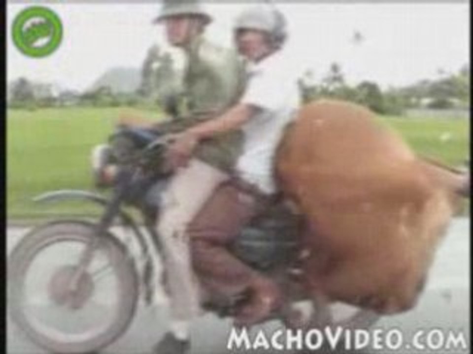 Regis se balade en moto en famille.