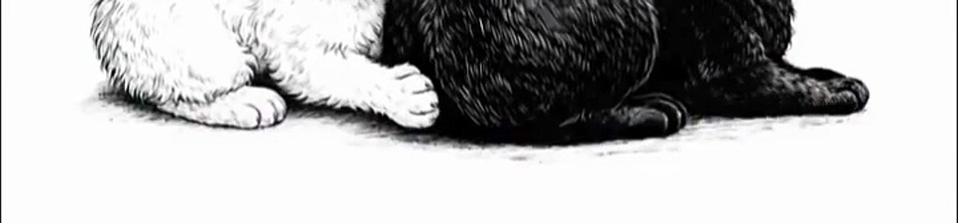 Love bites… literally. 🐾.(DOWN)