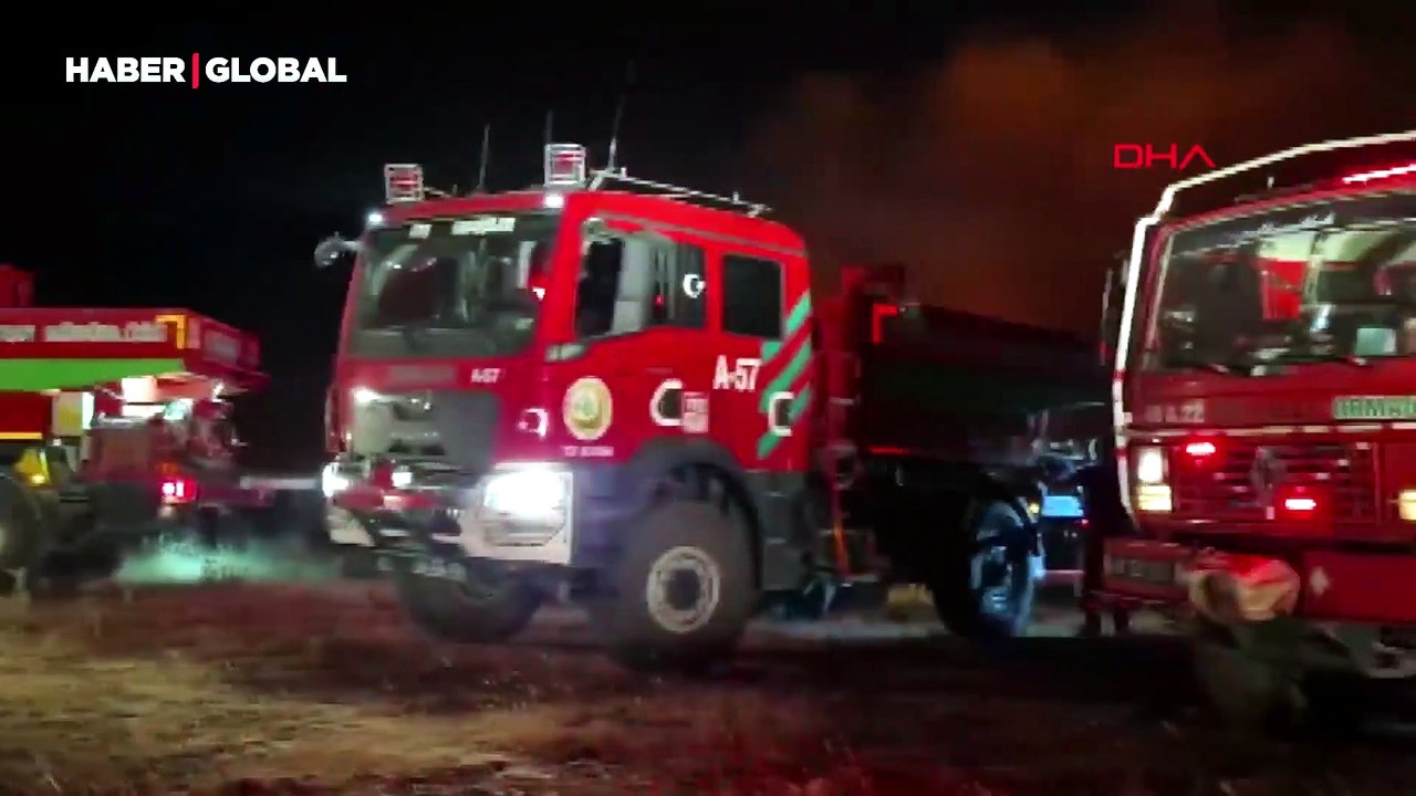 Milas'ta orman yangını! 1120 kişi tahliye edildi