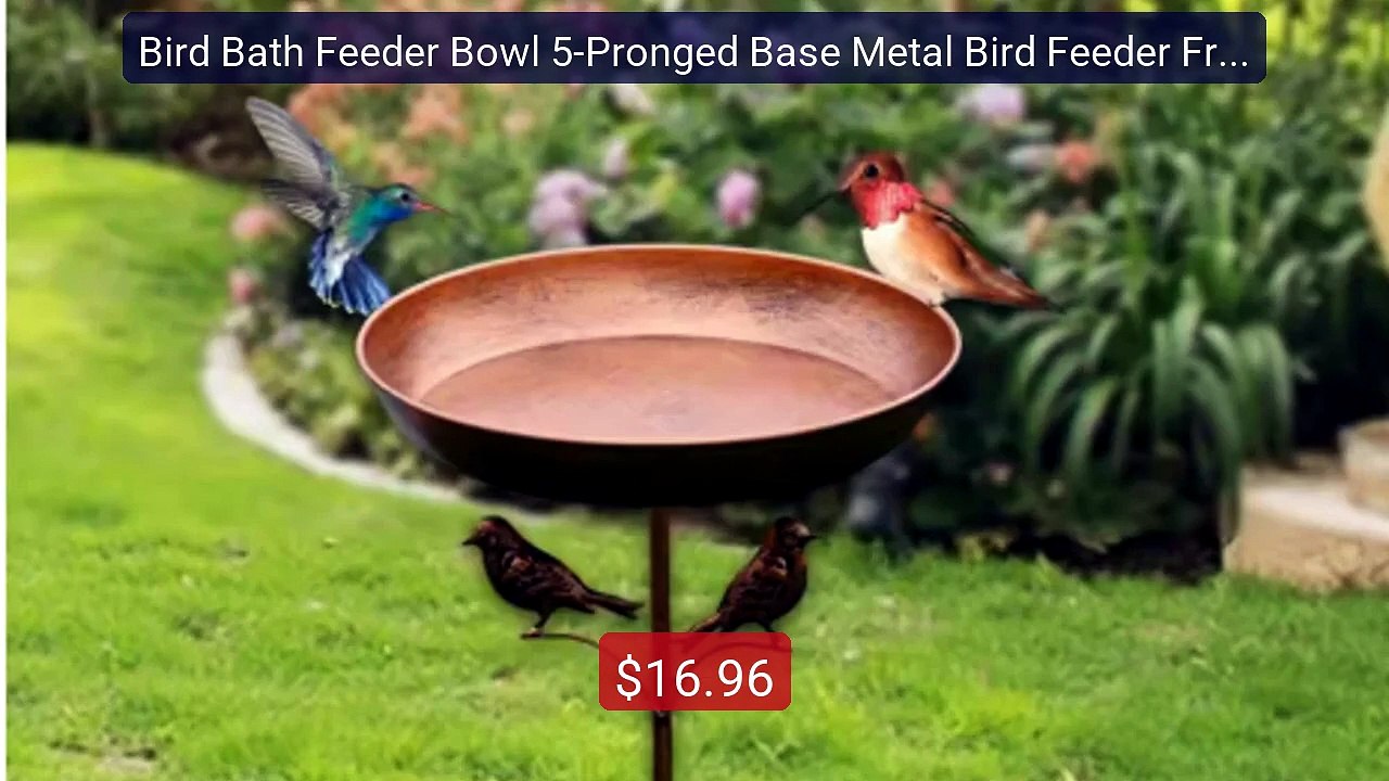 Bird Bath Feeder Bowl 5-Pronged Base Metal Bird Feeder Free... -- Top Pick 2026 | Unbeatable Price!