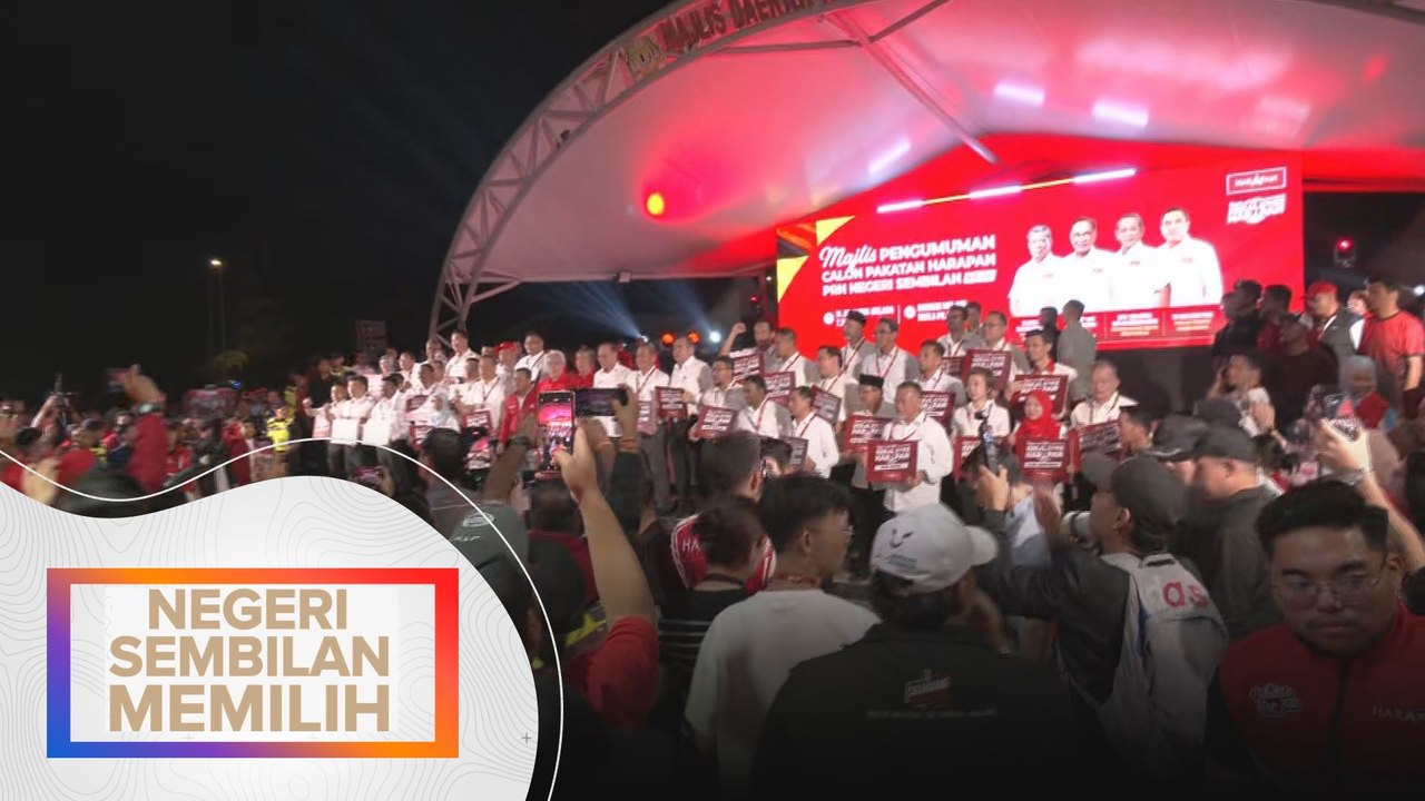 Negeri Sembilan Memilih: Aminuddin calon DUN Linggi, Loke di Chennah